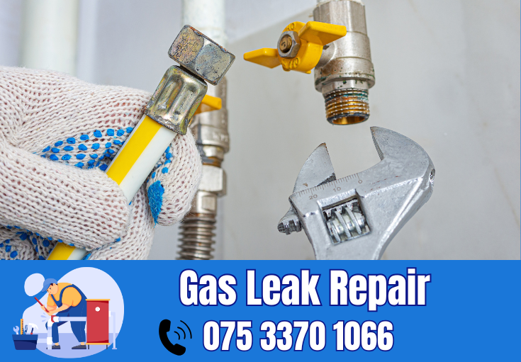 gas leak repair Swale
