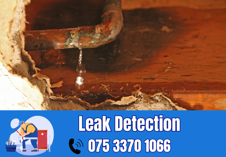 leak detection Swale