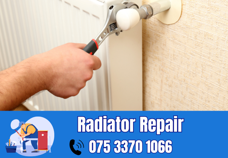 radiator repair and installation Swale