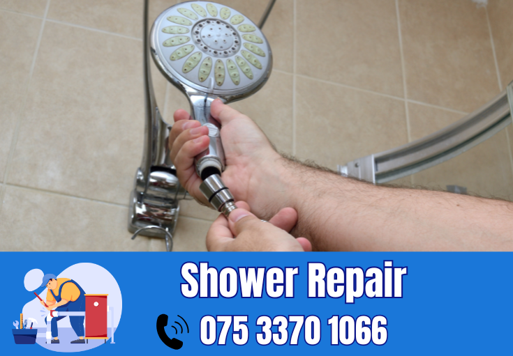 shower repair and installation Swale