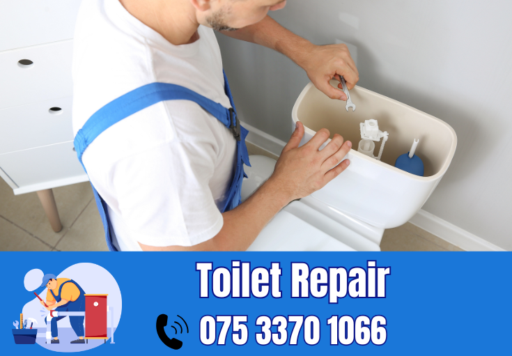 toilet repair Swale